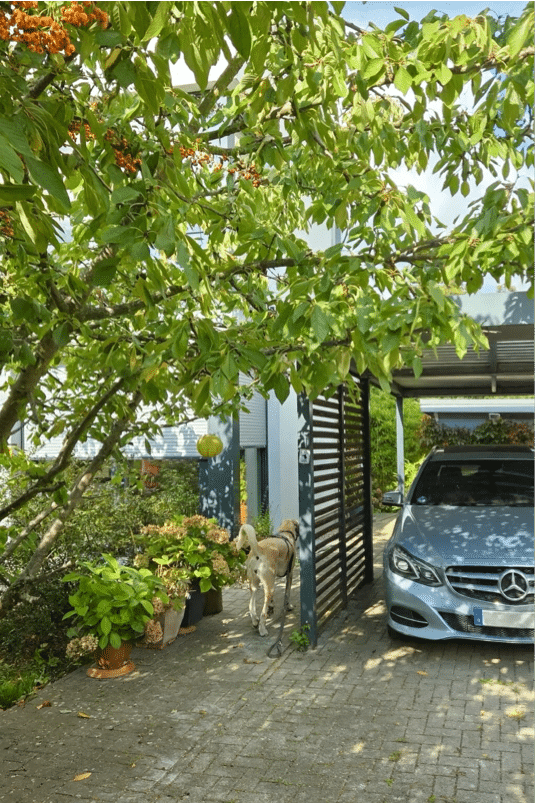 Carport - Semi-detached house in Schlachtensee: stylish living surrounded by nature