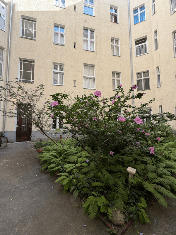 Innenansichten